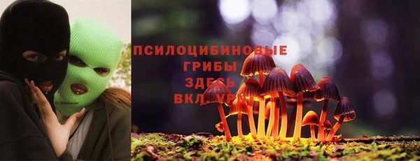 дмт Алзамай