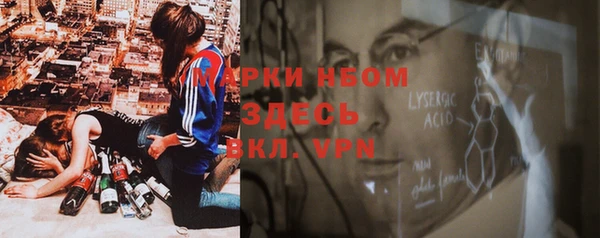 дмт Алзамай
