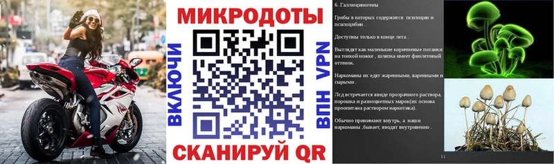 Псилоцибиновые грибы Psilocybine cubensis Михайловск