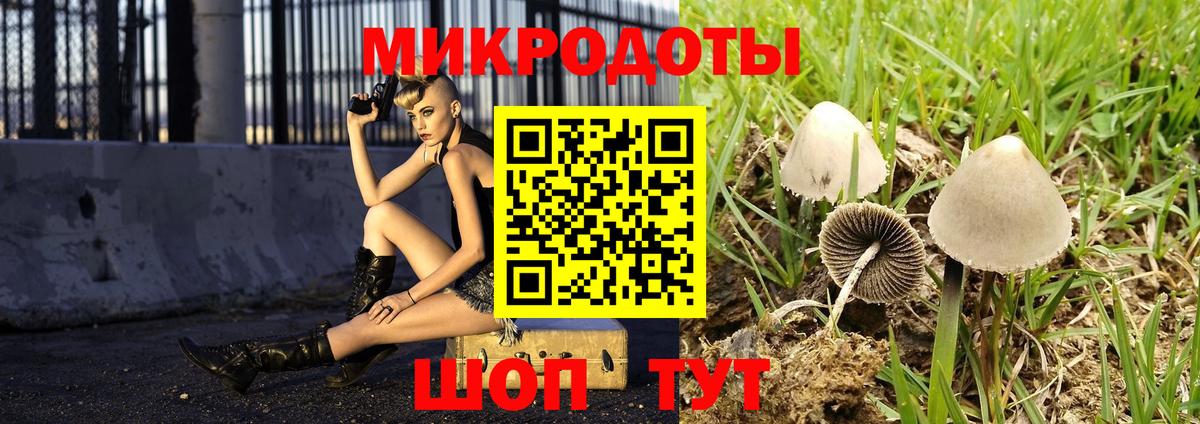 Псилоцибиновые грибы Psilocybe  Вход с VPN  Михайловск 